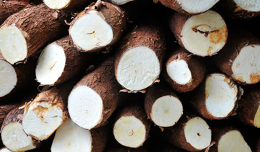 NATURALLY SOURCED TAPIOCA FIBER